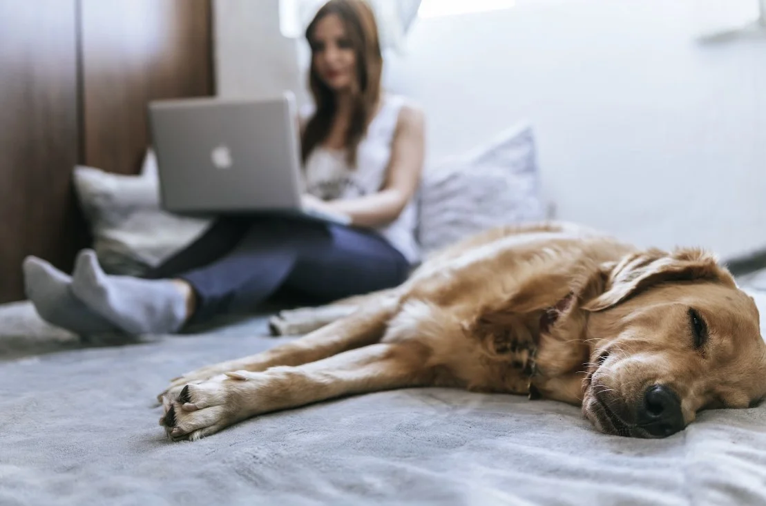 sleep number smart beds