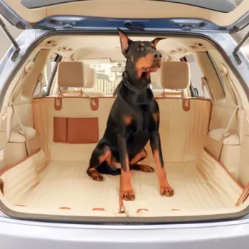 Sturdy Dog Car Hammock With Side Flaps: Fit, Setup, Care